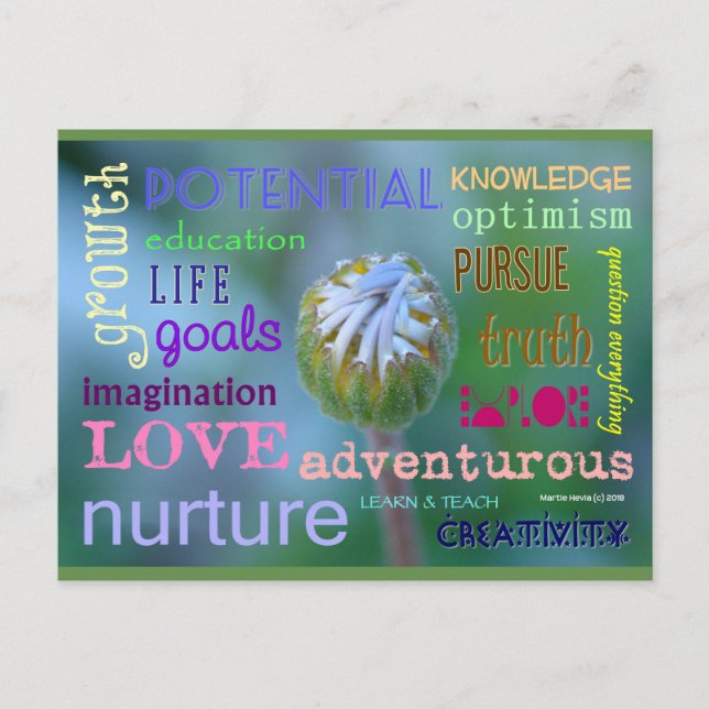 Potential Growth | Blue Beach Song™ Postcard (Front)