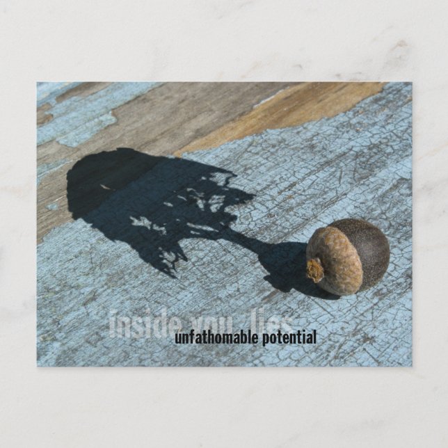 "Potential" Postcards (Front)