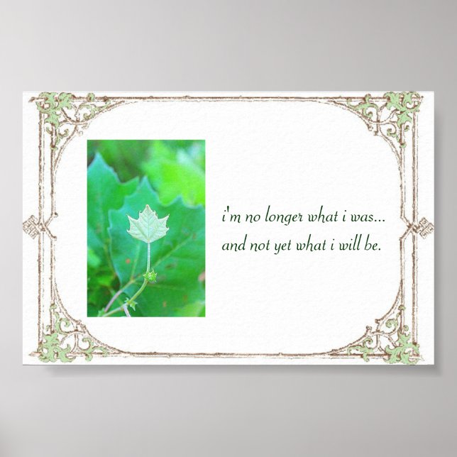 Potential Poster (Front)