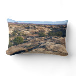 Pothole Point Trail at Canyonlands National Park Lumbar Pillow