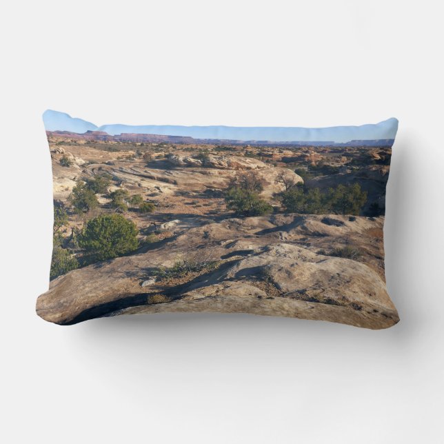 Pothole Point Trail at Canyonlands National Park Lumbar Pillow (Front)