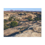 Pothole Point Trail at Canyonlands National Park Postcard