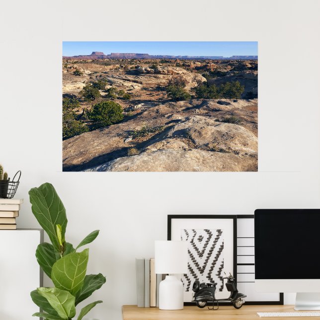 Pothole Point Trail at Canyonlands National Park Poster (Home Office)