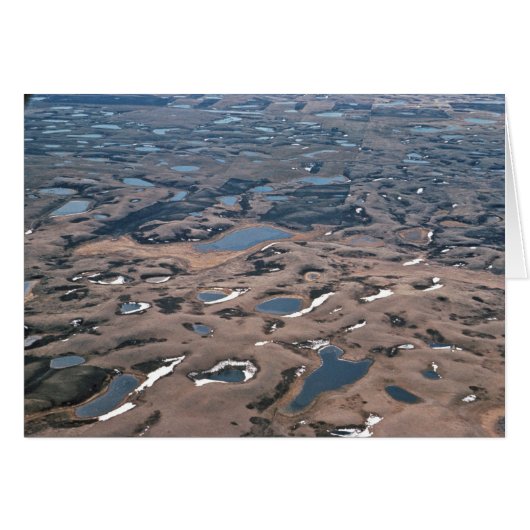 Potholes in Wetlands, (Aerials) (Front Horizontal)