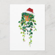 Pothos Hanging Plant Santa Hat Christmas Lights