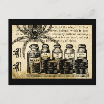 Potions Spider Skull Cross Bones Poison Postcard by Aviateros at Zazzle