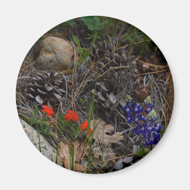 Potpourri Magnet (Front)