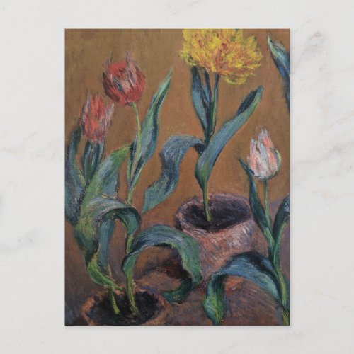 Pots of Tulips by Claude Monet Postcard