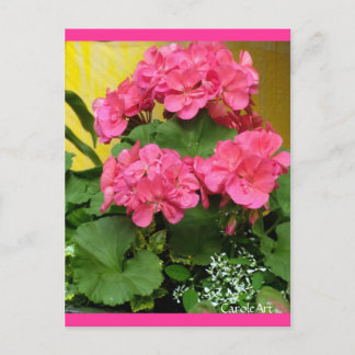 "Potted Coral Pink Geraniums" Notes & Stamps
