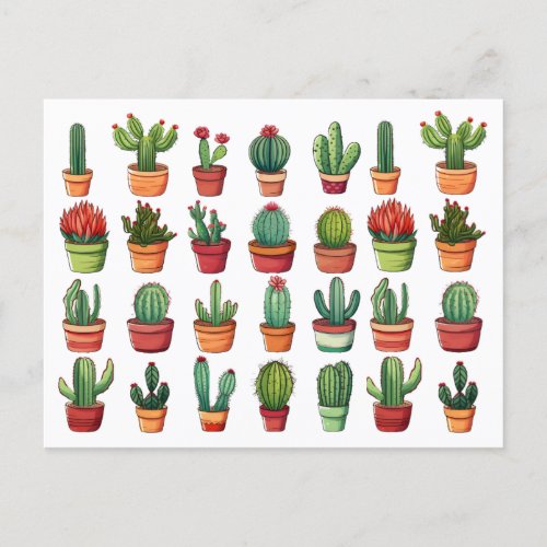 Potted Desert Cactus and Succulents  Postcard