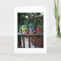 POTTED FRIENDS HANGING OUT-TRIPLET'S BIRTHDAY