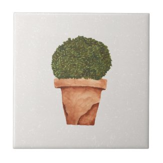 Potted Herb Cream Accent  Ceramic Tile