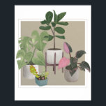 Potted Houseplants Poster<br><div class="desc">Potted houseplants.</div>