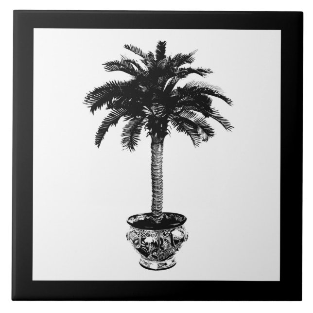 Potted Palm Tree - black and white Ceramic Tile (Front)