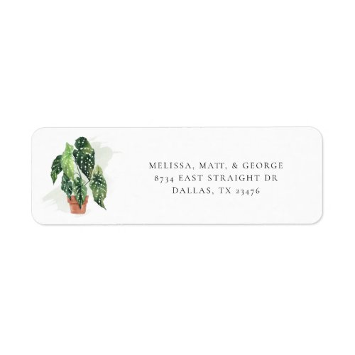 Potted Plant Botanical Return Address Label