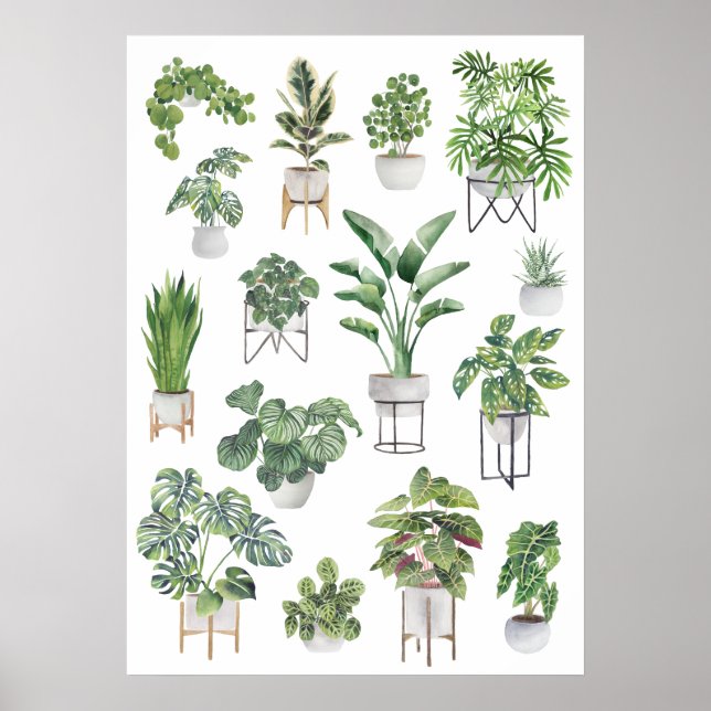 Potted Plant Collection 5 Poster (Front)