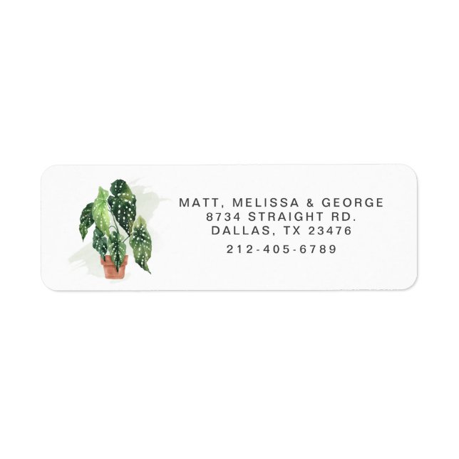 Potted Plant Greenery Return Address Label (Front)