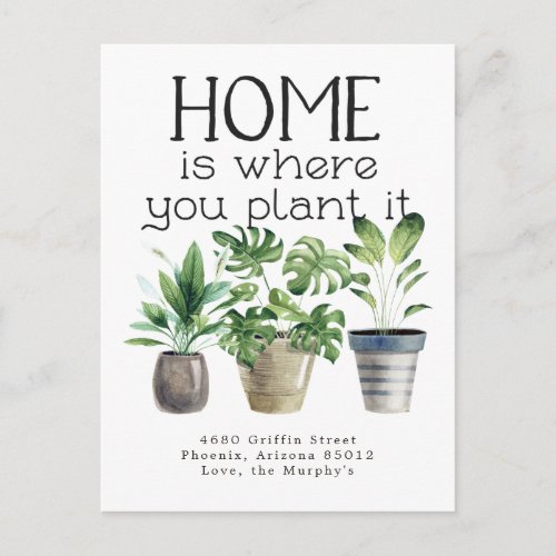 Potted Plant  Moving Announcement Postcard