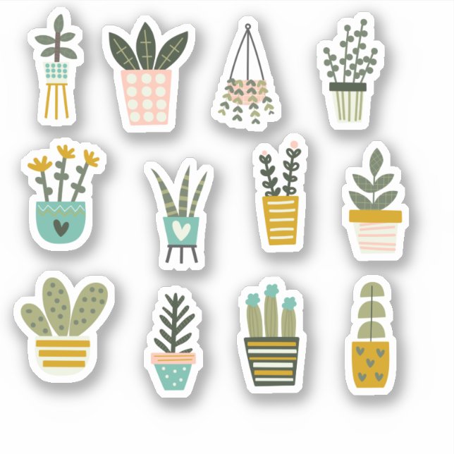 Potted Plants, Succulent & Cactus Vinyl Sticker (Front)