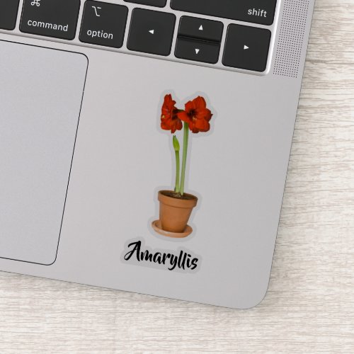Potted Red Amaryllis Floral Photography Cut_out Sticker