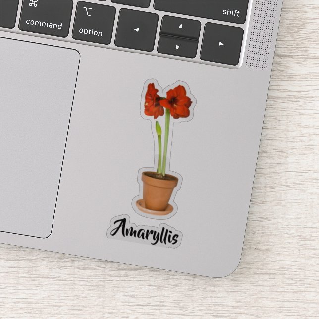 Potted Red Amaryllis Floral Photography Cut-out Sticker (Detail)