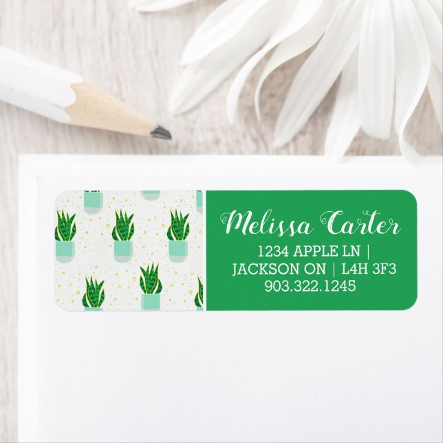 Potted Sansevieria Snake Plant Print Label (Insitu)