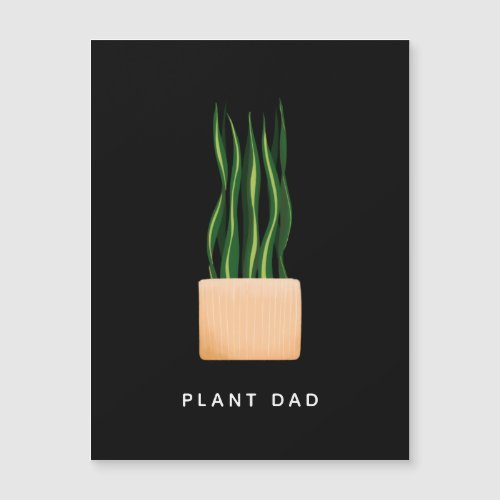 Potted Snake Plant Dad