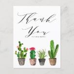 Potted Succulents and Cactus Graduation Thank You Postcard