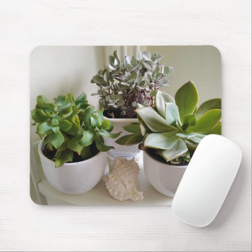 Potted Succulents in White with Seashell Mouse Pad