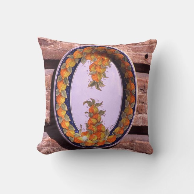 Pottery Serving Dish Poster Plaque Throw Pillow (Front)