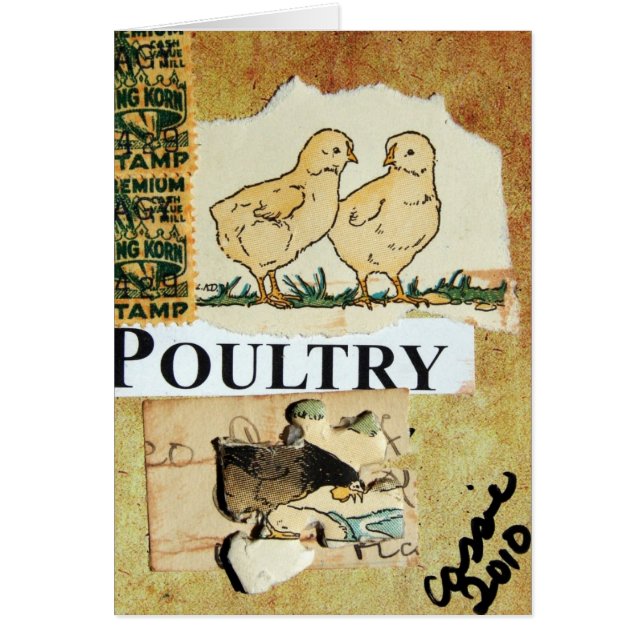 Poultry Collage Mixed Media Blank Inside  Cards (Front)