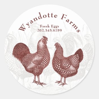 Poultry Farm Wyandotte Chickens Fresh Eggs Classic Round Sticker by AntiqueImages at Zazzle