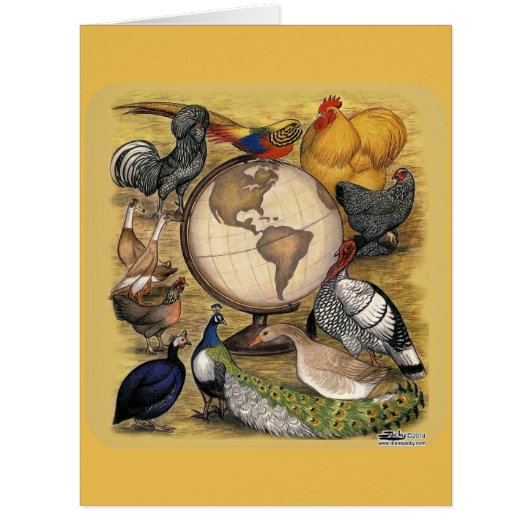Poultry of the World Cards (Front)
