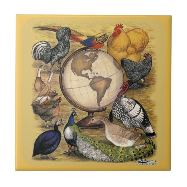 Poultry of the World Ceramic Tile (Front)