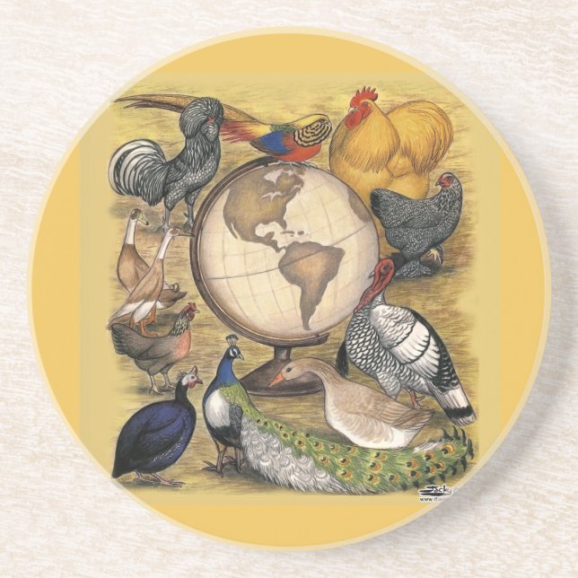 Poultry of the World Drink Coaster (Front)