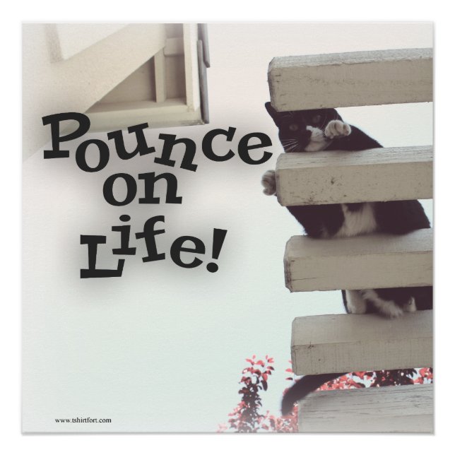 Pounce On Life Motivational Kitty Slogan Poster (Front)