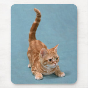 Pouncing Kitten Mouse Pad