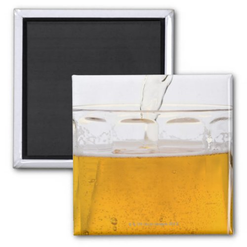 Pouring beer in glass mug Extreme Close_up Magnet