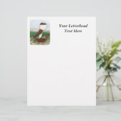 Pouter Pigeon Red Hana (Standing Front)