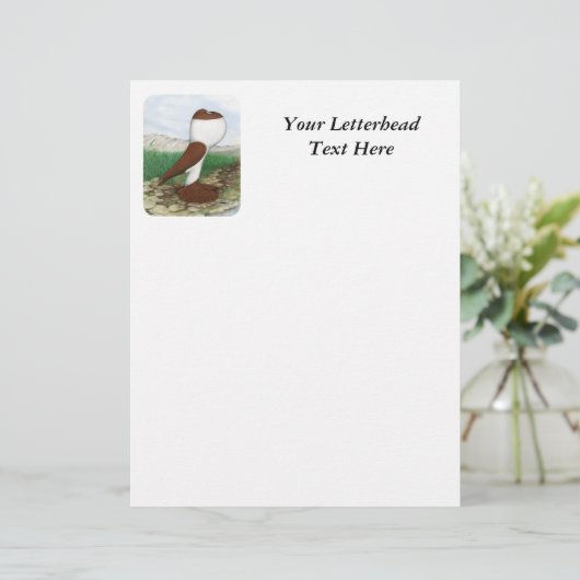 Pouter Pigeon Red Hana (Standing Front)