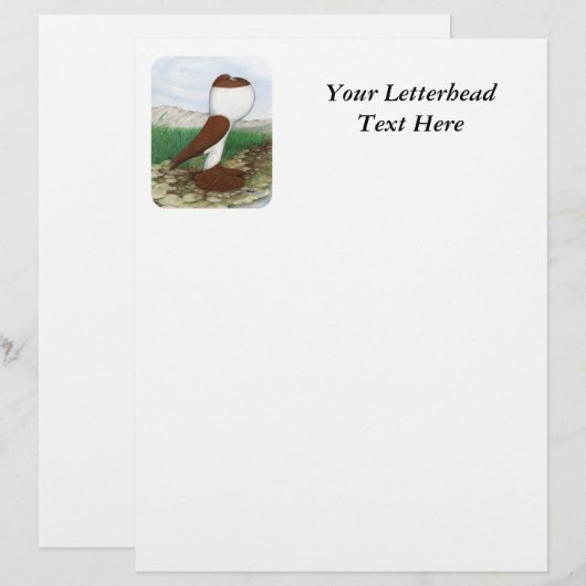 Pouter Pigeon Red Hana (Front/Back)