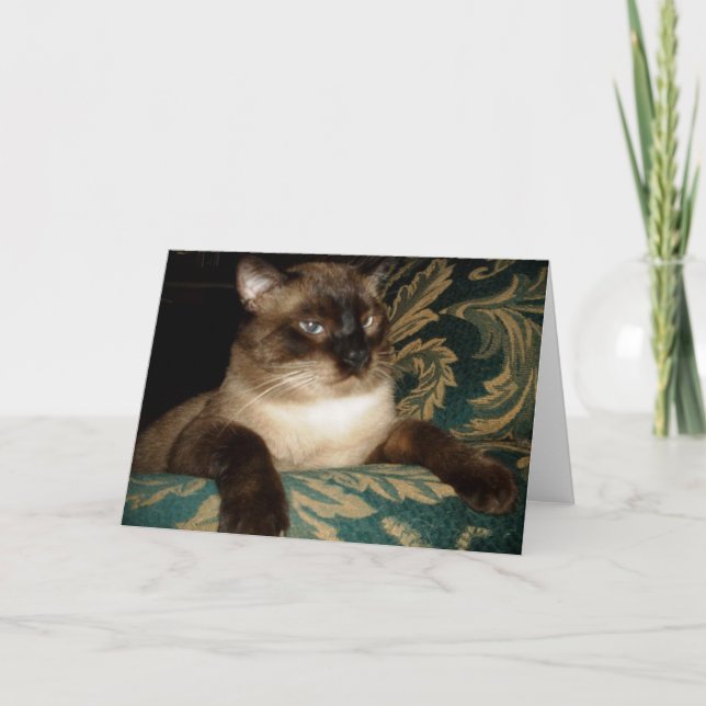 Pouty Face Siamese Cat Note Card (Front)