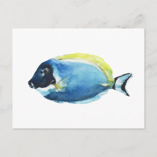 Powder Blue Tang Fish Postcard