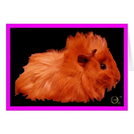 Powder Puff (Front Horizontal)