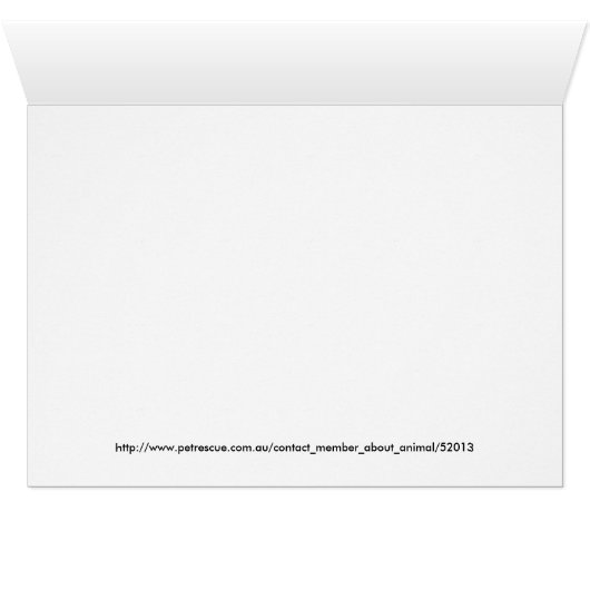 Powder Puff Cards (Inside Horizontal (Bottom))