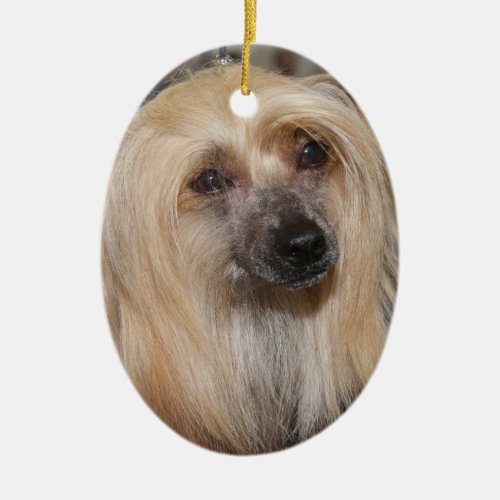 POWDER PUFF CHINESE CRESTED DOG ORNAMENT