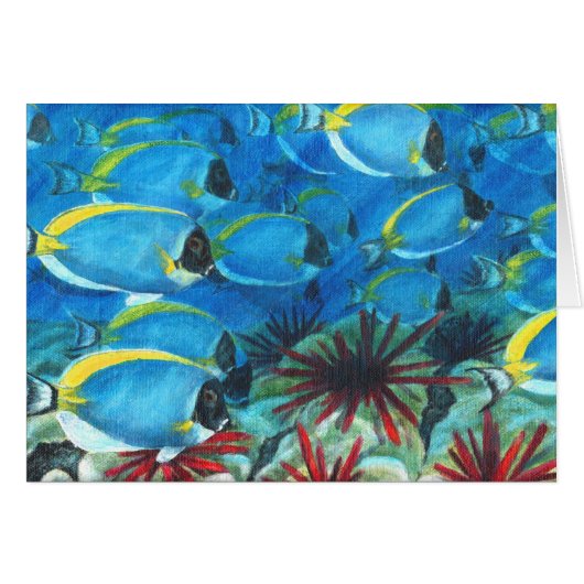 Powdered blue tangs cards (Front Horizontal)