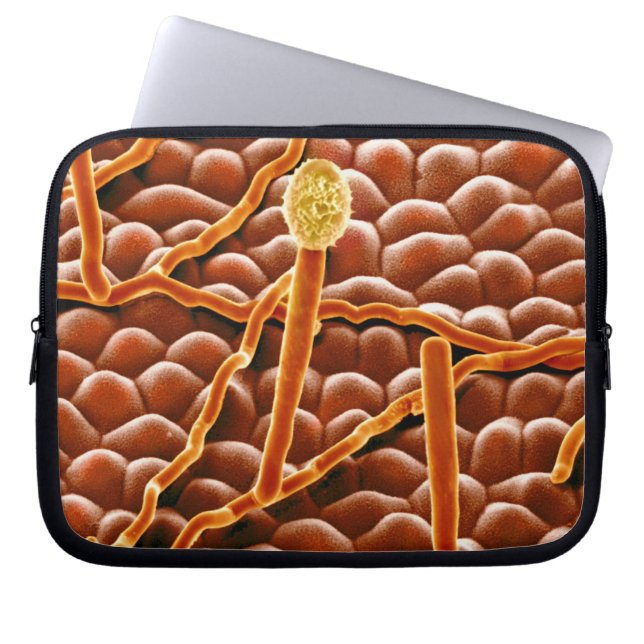 Powdery Mildew Fungus on Poinsettia Laptop Sleeve (Front)