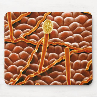 Powdery Mildew Fungus on Poinsettia Mouse Pad