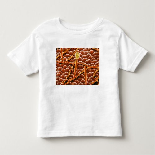 Powdery Mildew Fungus on Poinsettia Toddler T_shirt